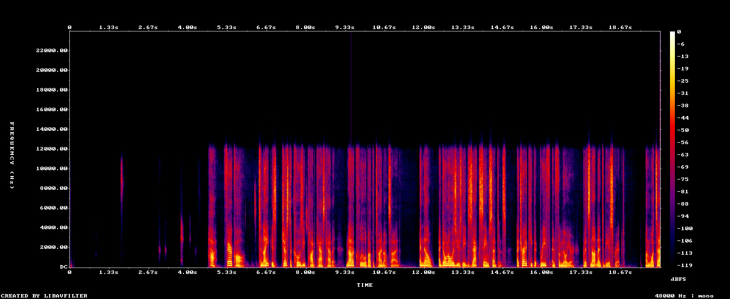 a spectrogram of twenty seconds of a founder's voice recorded in a browser with its noise suppression on: the voice stops sharply near 12 kHz and the gaps between words are completely black